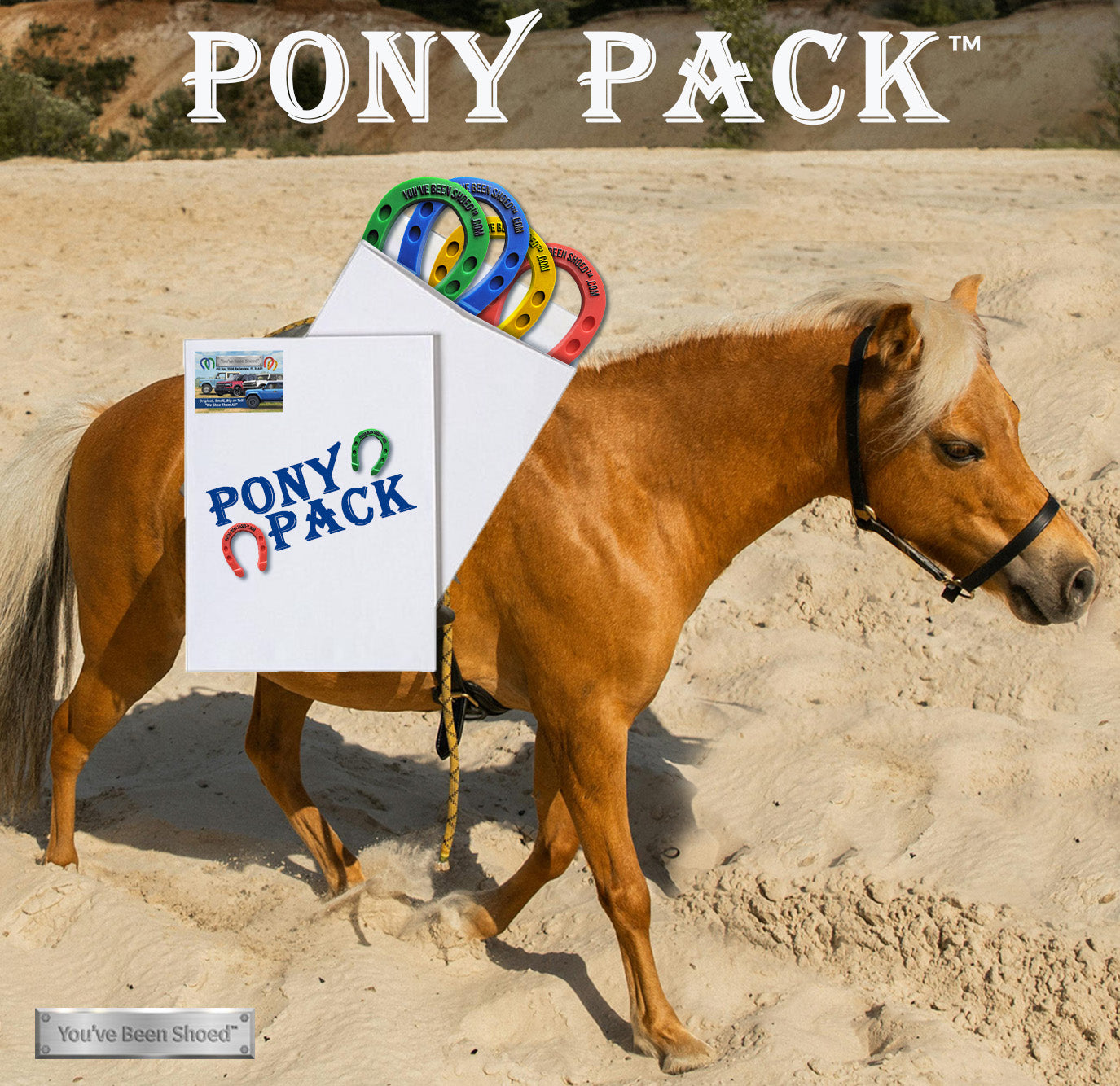PONY PACK BRONCO SWAG HORSESHOES Pack of 12 - Raptor Red, Blazing Trail Blue, Yellow Fellow, Gremlin Green 2.75" x 3.5"